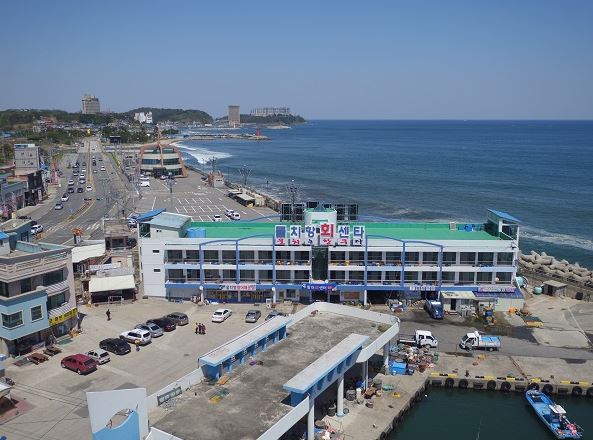 물치항(차량 10분)